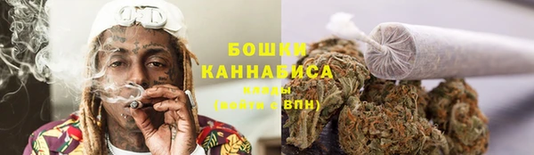 ПСИЛОЦИБИНОВЫЕ ГРИБЫ Аркадак