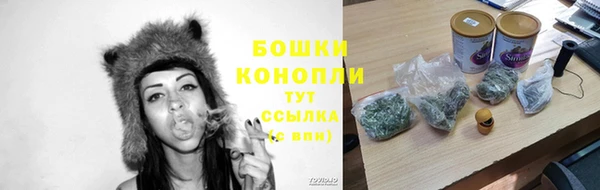 ПСИЛОЦИБИНОВЫЕ ГРИБЫ Аркадак