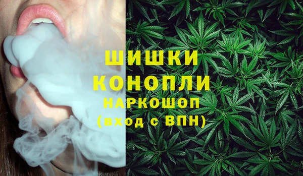 ПСИЛОЦИБИНОВЫЕ ГРИБЫ Аркадак