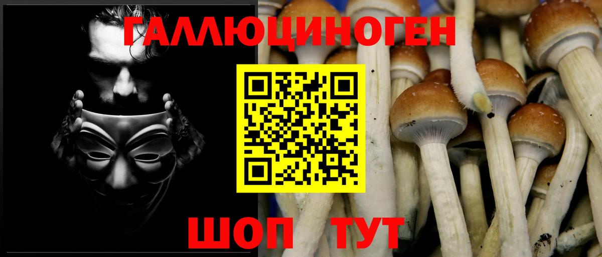 Сорочинск  как найти   Псилоцибиновые грибы прущие грибы  Вход с VPN  Галлюциногенные грибы GOLDEN TEACHER 